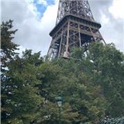 Étudiante en droit propose des cours de français collège et lycée ( 20 au bac écrit de français et 17 à l’oral :) )